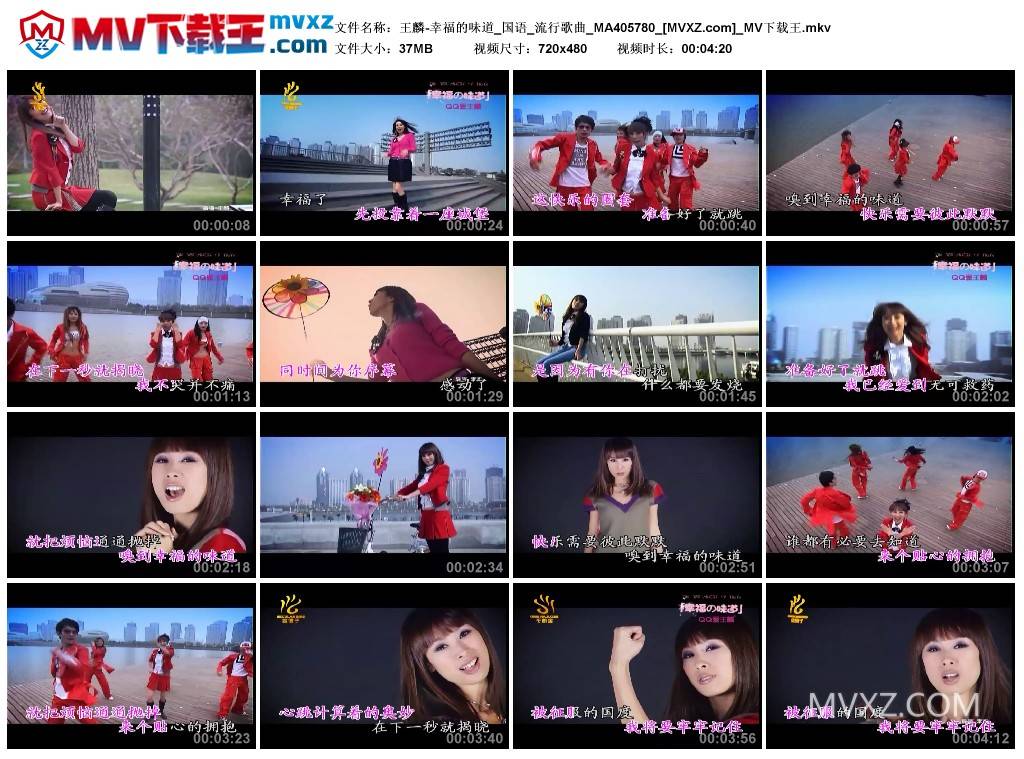 王麟-幸福的味道_国语_流行歌曲_MA405780